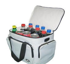 便攜冰包全方位指南 供應渠道、價格、廠家及選購要點